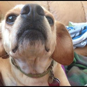 Meet your Posher, Lucas